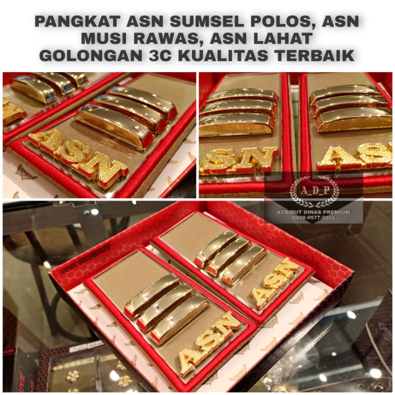 Pangkat ASN MUSI RAWAS golongan 3c