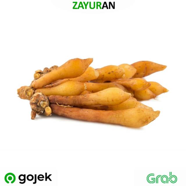 

Temu Kunci | Zayuran