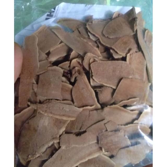 

Jamur lingzhi original