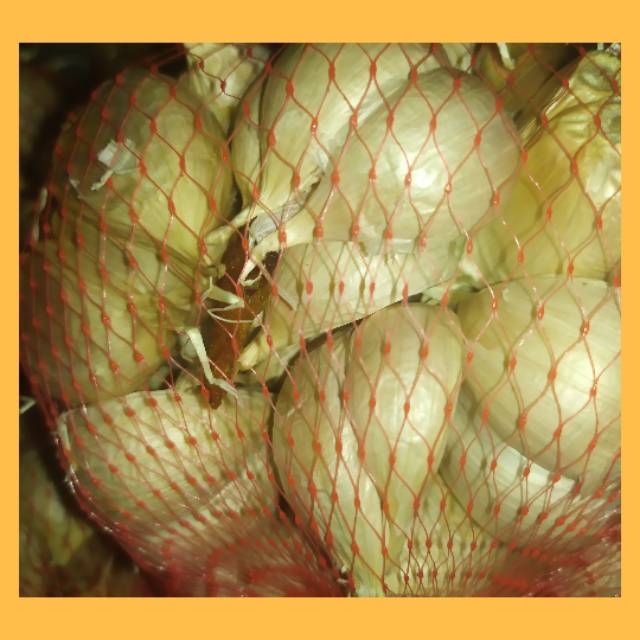 

BAWANG PUTIH KATING