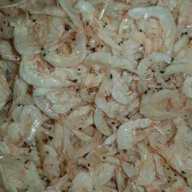 

[COD] Udang rebon 500 gram [COD]