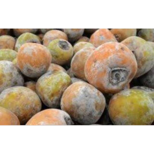 Buah kesemek 1kg