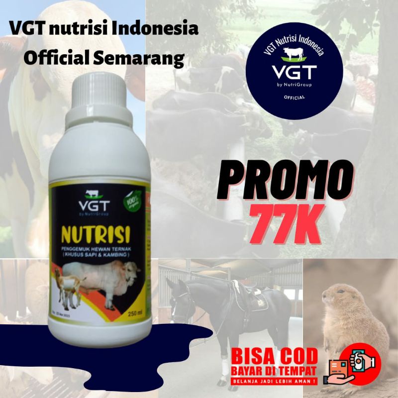 VGT Nutrisi SAPI KERBAU KAMBING DOMBA KUDA KELINCI MARMUT HAMSTER Vitamin Ternak Organik Alami Bisa 