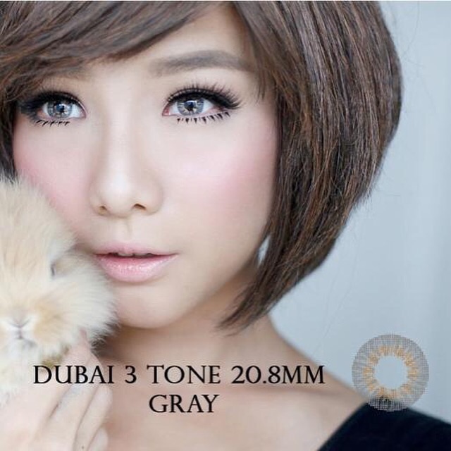 Softlens Dubai 3 tone gray brown blue tosca black