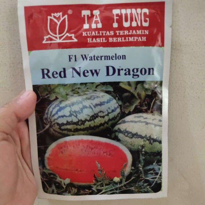 Benih semangka RED NEW DRAGON F1 20 gram benih semangka lonjong semangka hibrida dari tafung ta fung