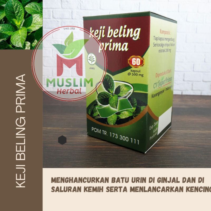 

KEJI BELING EKSTRAK