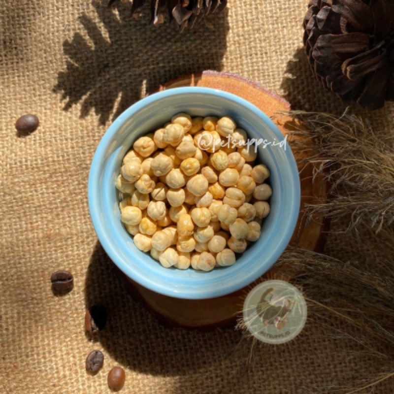 Roasted Chickpeas 10gr for hamster, sugar glider, gerbil etc | snacks cemilan small animals