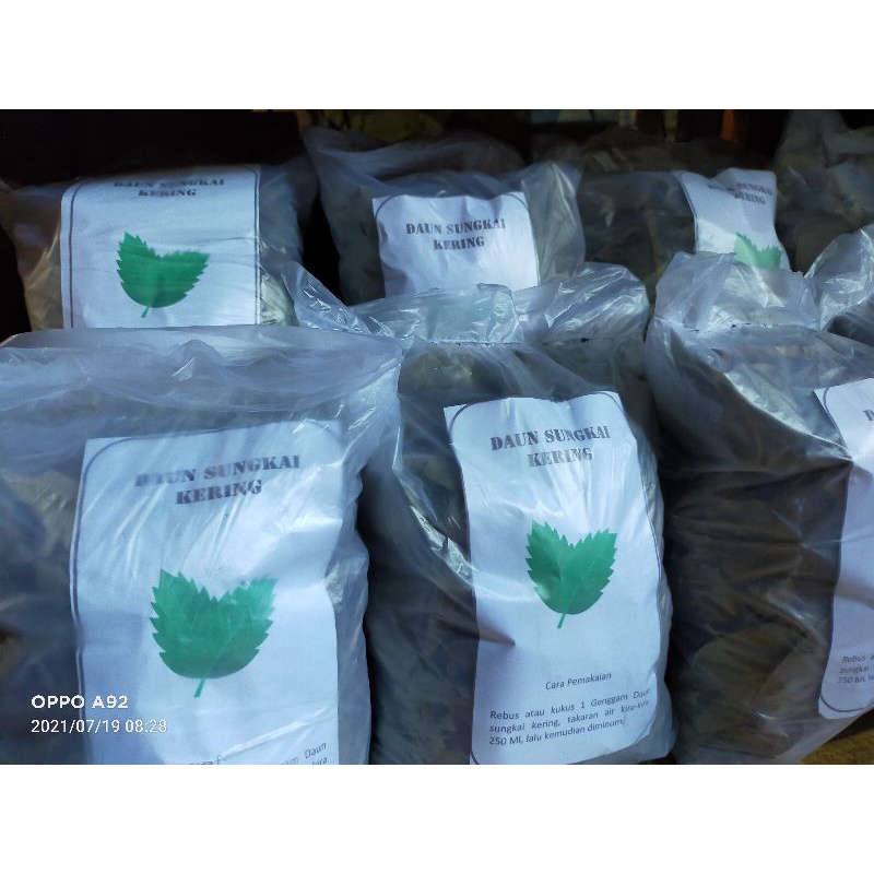 

Promo Daun Sungkai 100 Gram