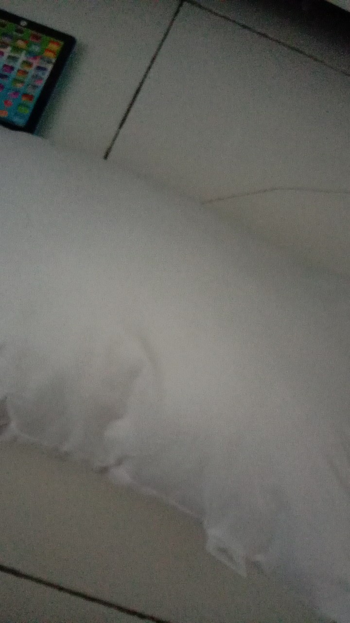 Bantal Anak Polos Restking 38x58 Cm