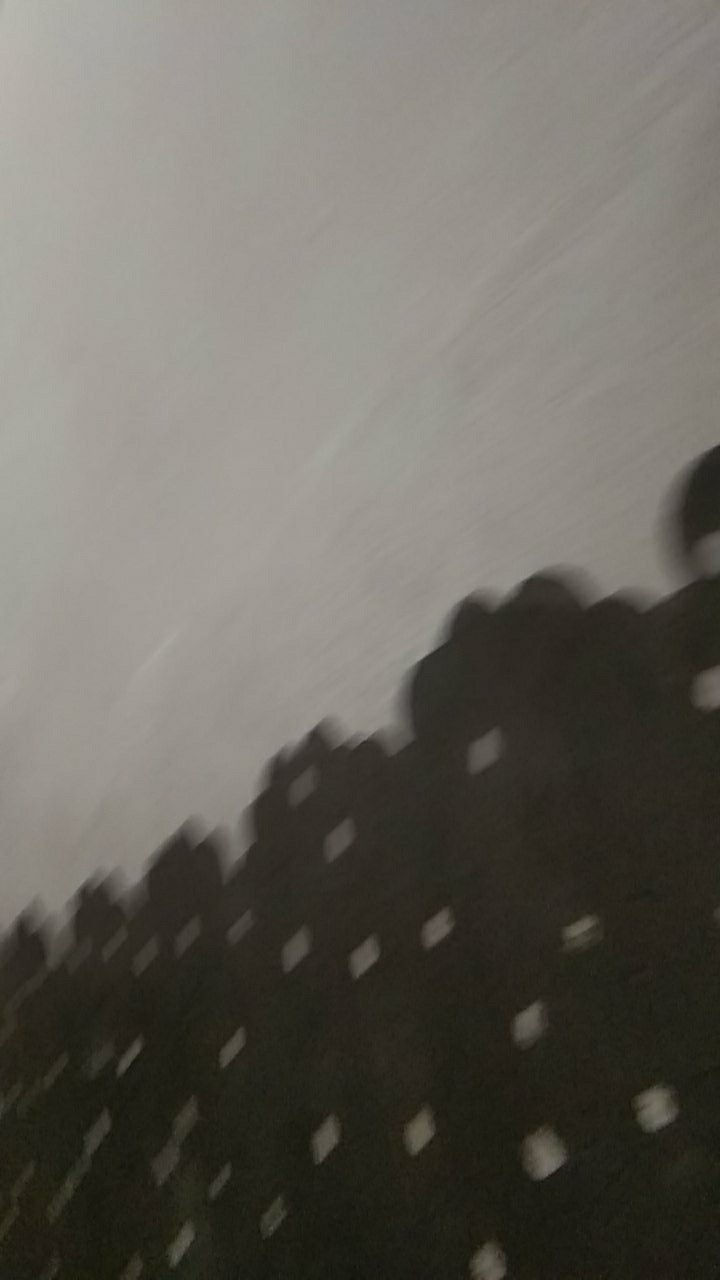 Kemeja Pria Lengan Pendek Motif Surfing Batik Bunga Kekinian Kemeja Kerja Kantoran Kasual Termurah