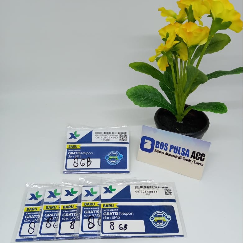 PERDANA XL HYBRID 8GB COMBO LITE (2+)