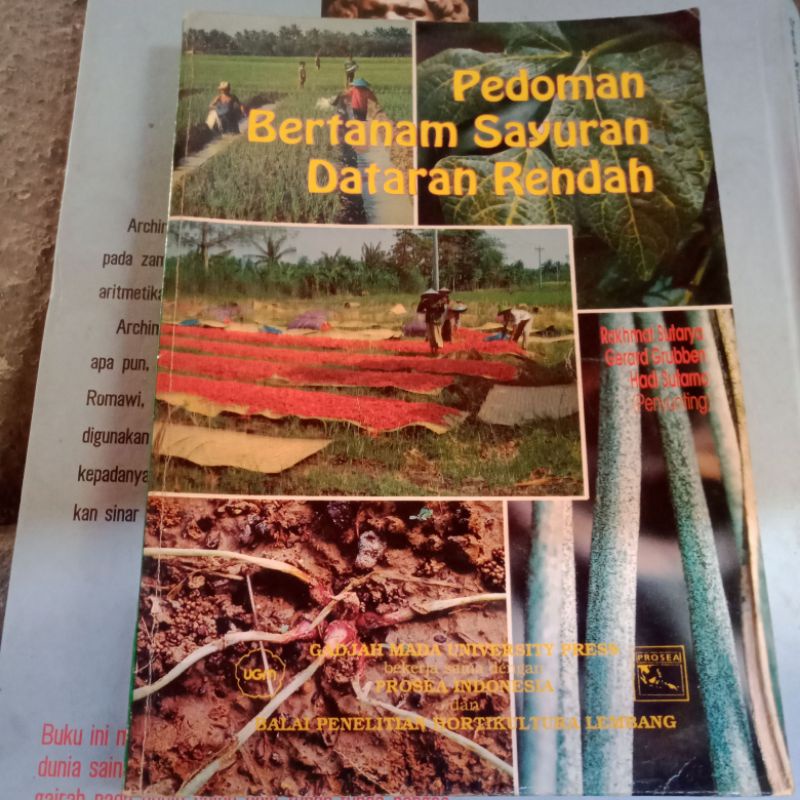 

pedoman Bertanam sayuran dataran rendah