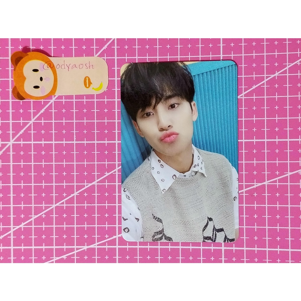 PC MINGYU & TC VERNON OFFICIAL ALBUM HENGGARAE SEVENTEEN