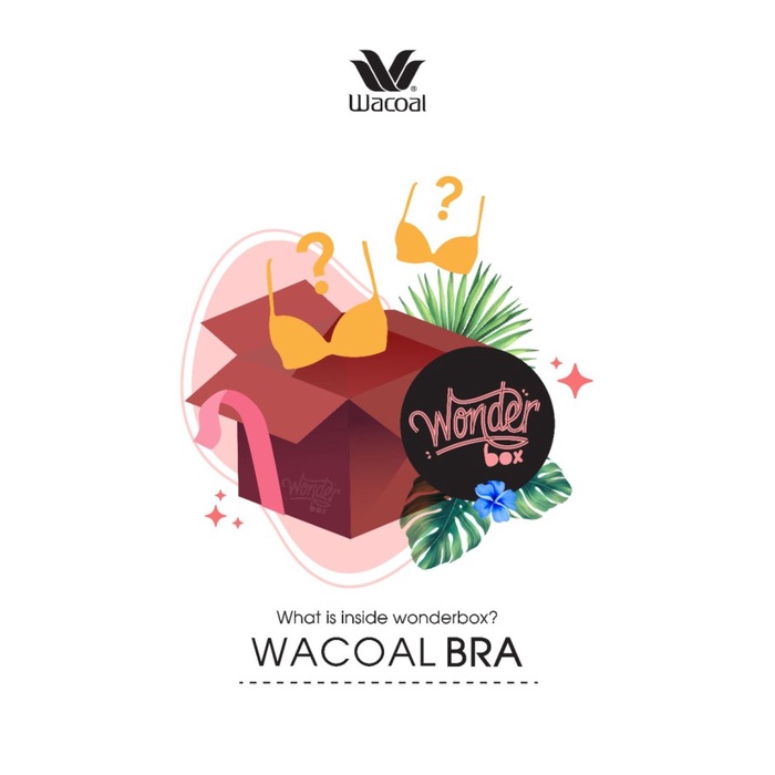 Wonderbox Wacoal Bra isi 2pcs - 32B
