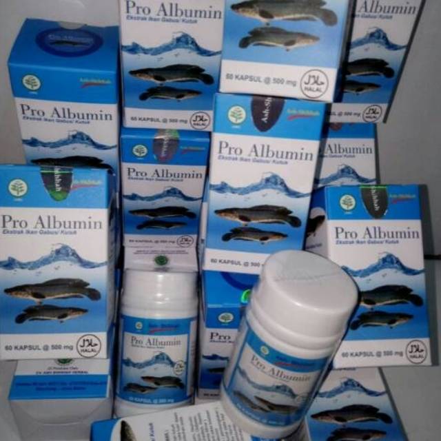 

Albumin ekstrak ikan gabus Asli.. Bpom halal