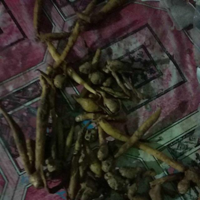 Temu Kunci Segar Basah