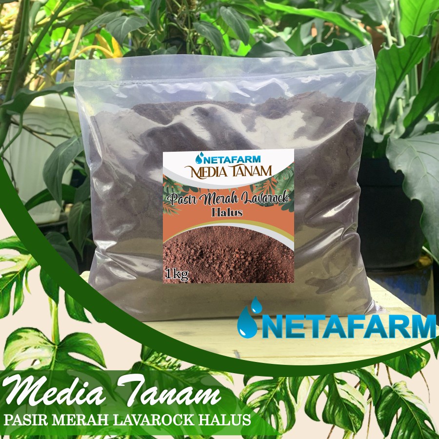 Media Tanam Pasir Vulkanik Merah Lavarock Lava Rock Halus - 1kg