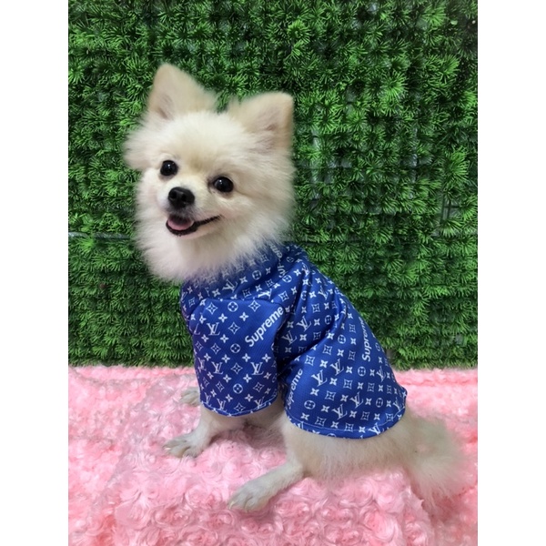 BAJU KAOS PAKAIAN HEWAN ANJING KUCING ANABUL ANAK BULU KELINCI MOTIF SUPREME LV LOUIS VUITTON VUITON