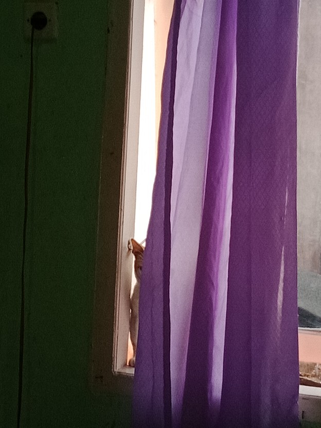 Bolero Monochrome Blazer Batik Wanita Modern Elegan