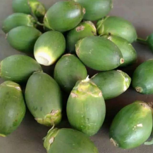 Buah pinang segar buah pinang muda 1kg