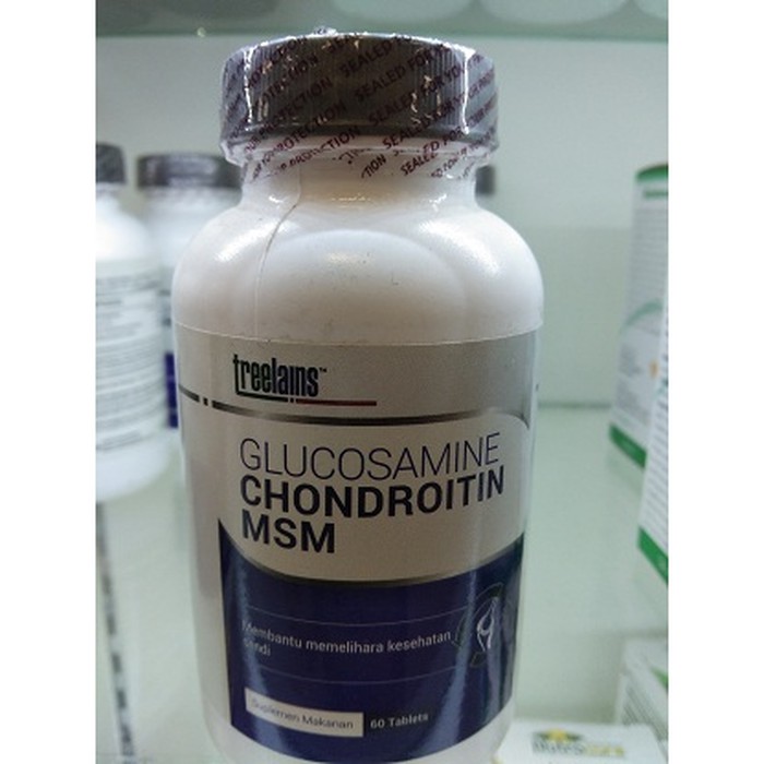 GLUCOSAMINE CHONDROITIN MSM