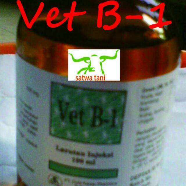 Vitamin B-1 Injeksi (Vet B-1)