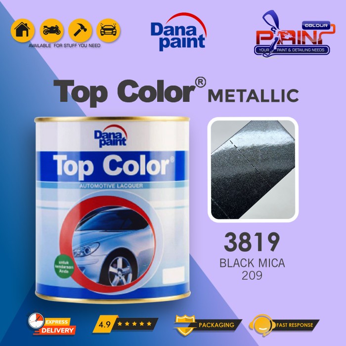 Top Color Metallic 3819 Black Mica 209 - Cat Duco