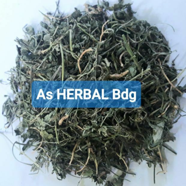 

Daun sawi tanah kering natural asli 200 gram per pcs-az