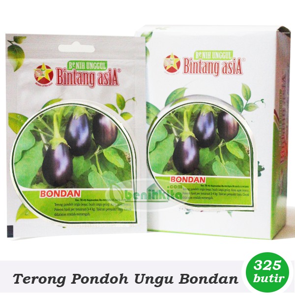 Benih/Bibit Terong Pondoh Ungu Bondan (Bintang Asia)