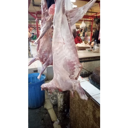 

Kambing Muda Karkas 1 Ekor Halal Fresh