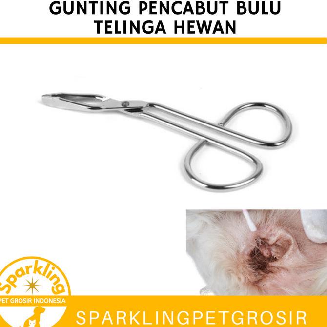 GUNTING PENCABUT BULU TELINGA ANJING / HEWAN / PINSET CABUT BULU