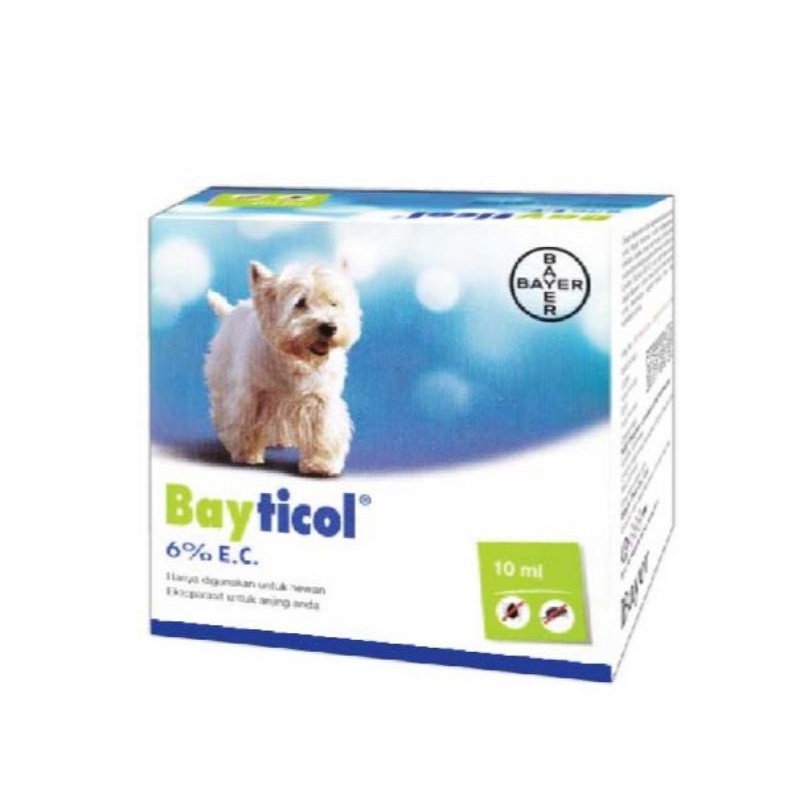Bayticol obat kutu anjing 10 ml / pembasmi kutu anjing