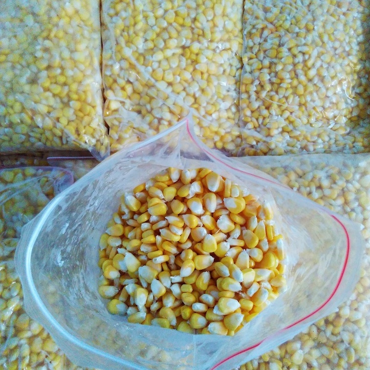 

Jagung Segar Manis Frozen Segar 1Kg