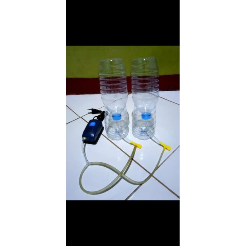 kelengkapan kultur artemia