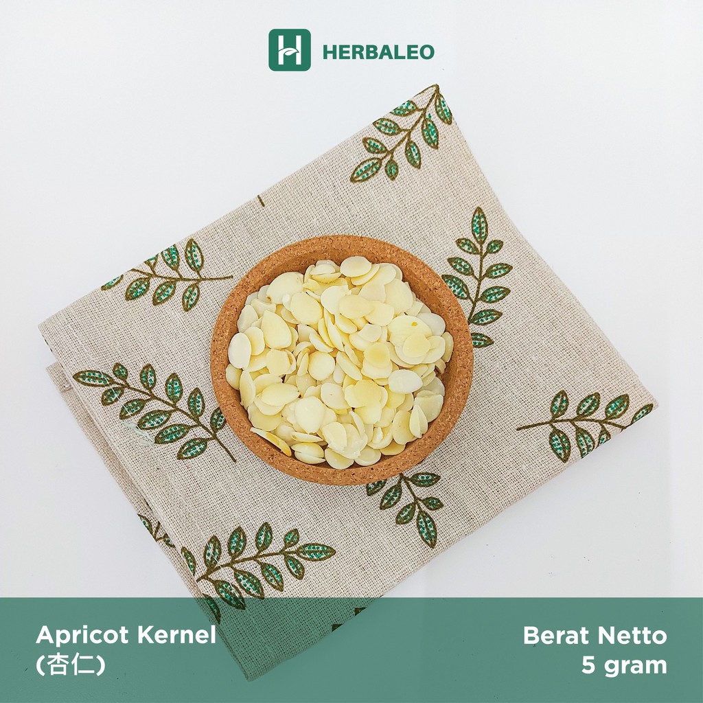 

Herbaleo - Apricot Kernel / Xing Ren (杏仁) / Biji Apricot / Nan Hem