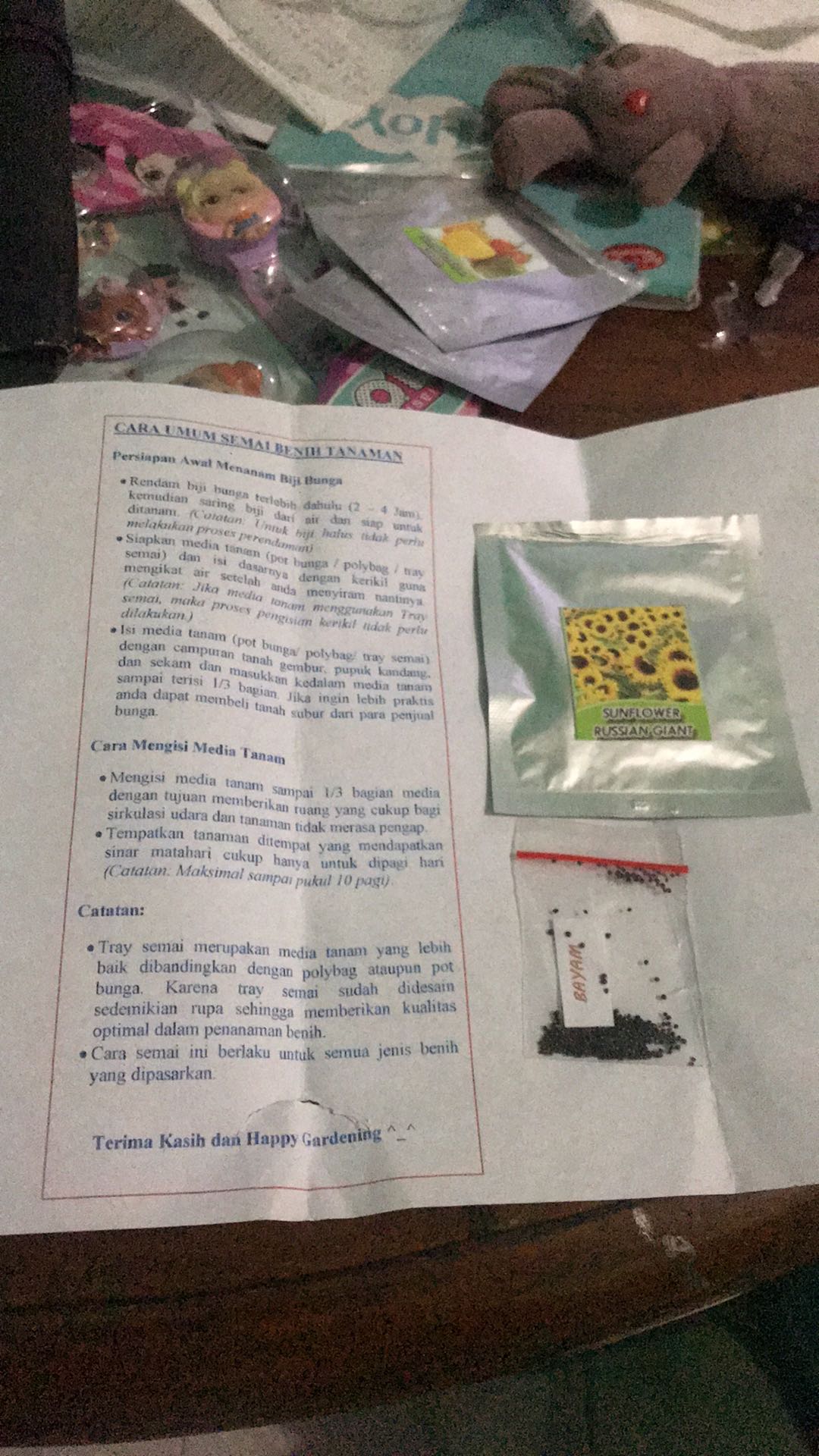 Biji Bunga Matahari Russian Giant Sunflower Shopee Indonesia