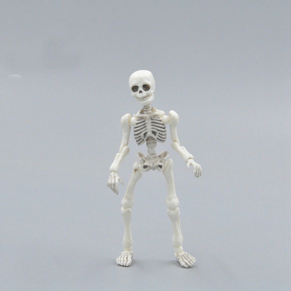 Mr Bones Skull Toy Pose Skeleton Human Body Flexible Action Figure