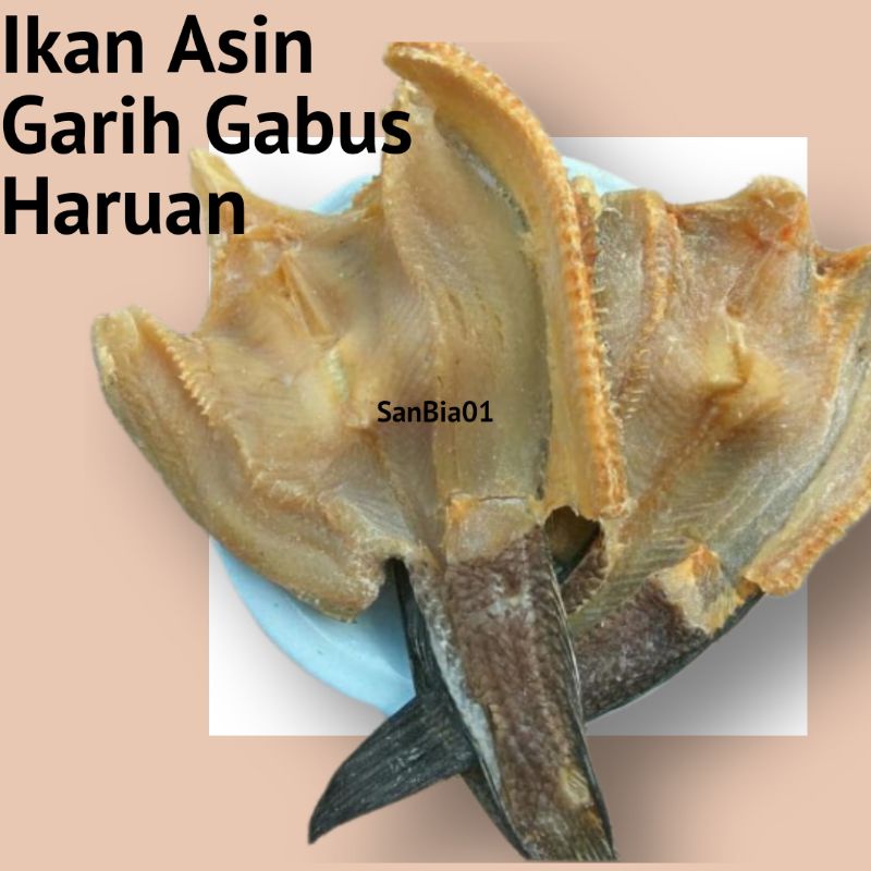 

Ikan Asin Gabus Garih Haruan