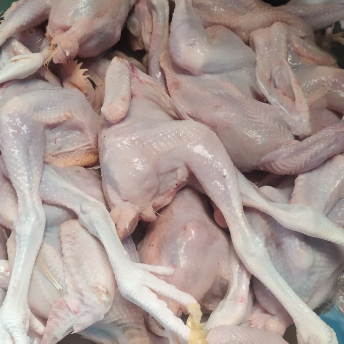 

✨COD✨ ayam mentah pejantan 1 ekor fresh dan segar Halal 100%