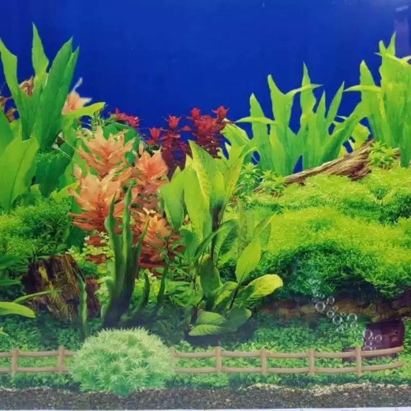 Jual M1 WALLPAPER BACKGROUND AQUARIUM AQUASCAPE AKUARIUM WALPAPER