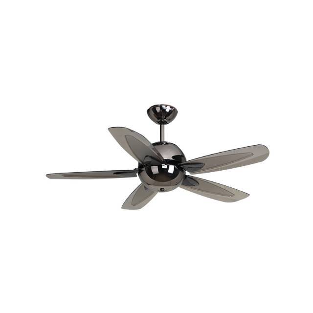 CEILING FAN MT EDMA COMO