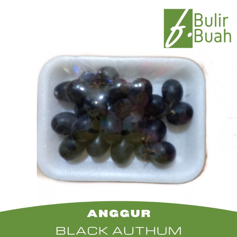 

Buah Anggur Manis Hitam Black Tanpa Biji/Pack