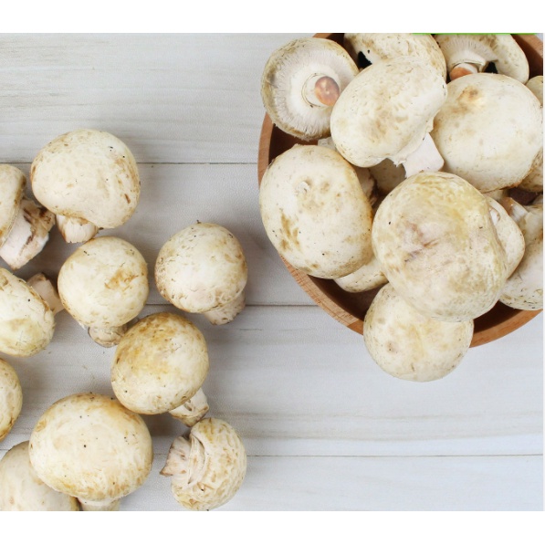 

JAMUR CHAMPAION 150GRAM SAYURAN