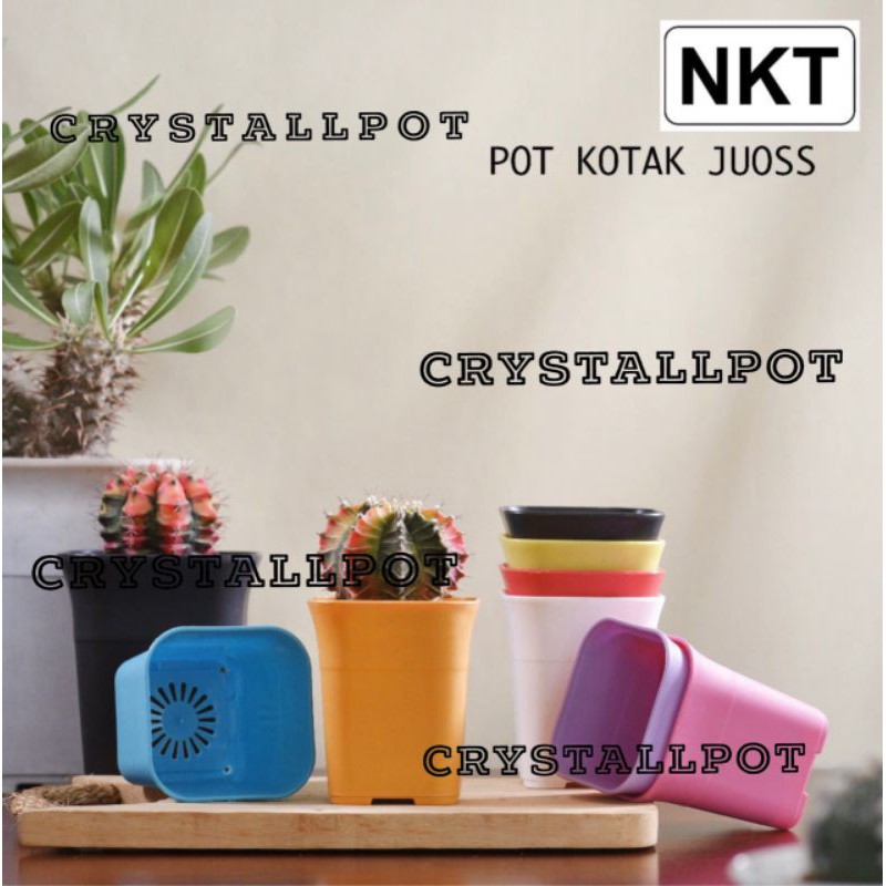 Pot bunga kotak mini (88)warna warni 8,8cm untuk menanam kaktus/bibit