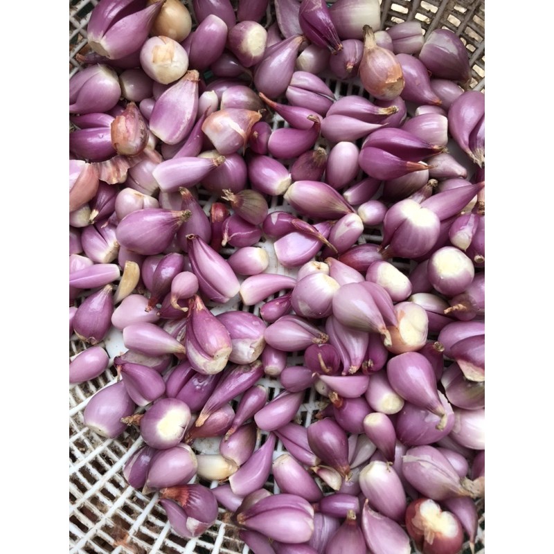 

BAWANG GORENG KUPAS