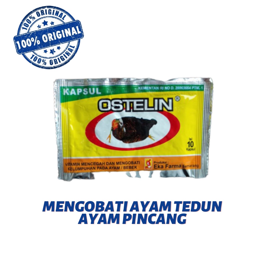 OSTELIN SASET  - ayam lumpuh