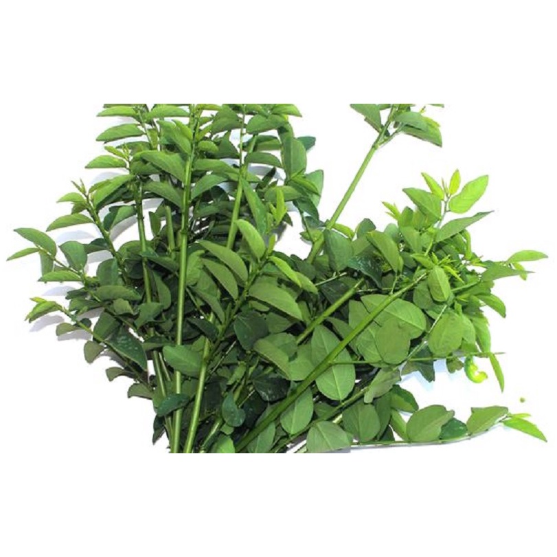

Sayur Segar Katuh Fresh per Ikat