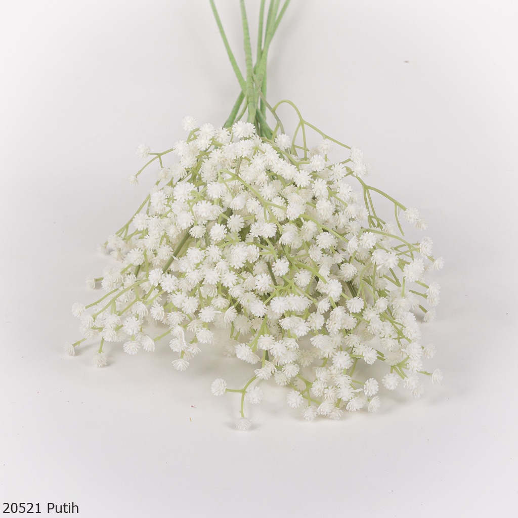 Baby's Breath Panjang 2052