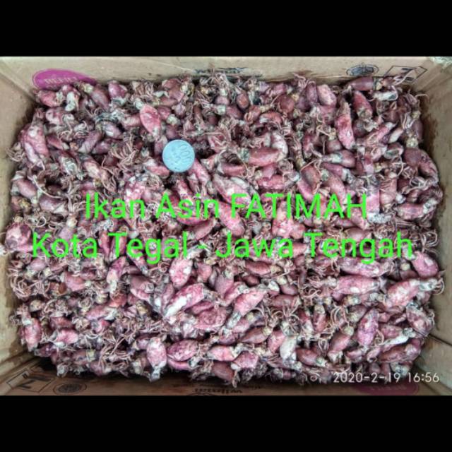 

Baby Cumi Asin 1kg Cumi Baby ±0,5-2cm