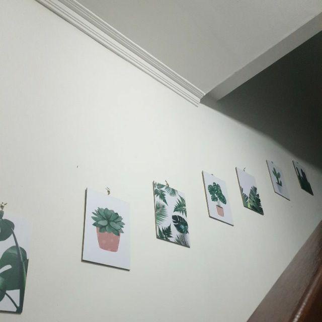 [bisa Cod] Hiasan Dinding Tropical Poster Kayu Walldecor Shabby Chic Monsterra Trs17